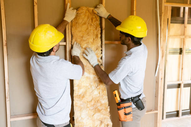 Best Commercial Insulation Services  in USA